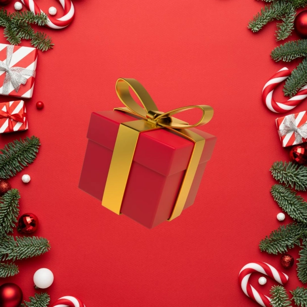 Activités de Noël au Centre de Loisirs Prince Albert II